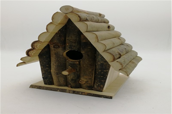 鳥窩喂鳥器